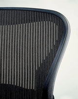 Herman Miller Embody Ergonomic Office Chair